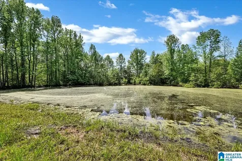 888 County Road 1663 Cullman AL 35058
