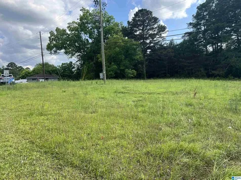 3608 Poplar Lane Adamsville AL 35005
