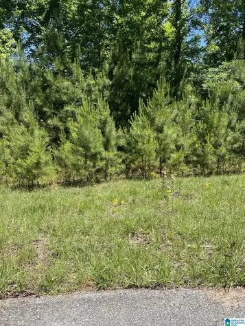 Lots 2 And 3 Eagle Mountain Road Rockford AL 35136