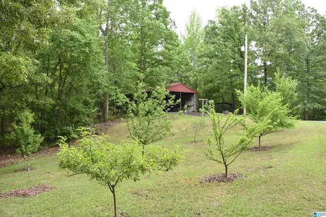 1915 Coosa County Road 19 Rockford AL 35136