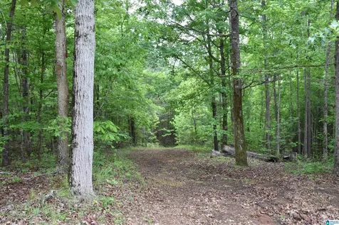 1915 Coosa County Road 19 Rockford AL 35136