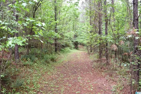 1915 Coosa County Road 19 Rockford AL 35136