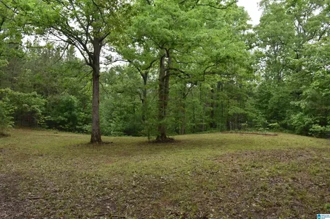 1915 Coosa County Road 19 Rockford AL 35136