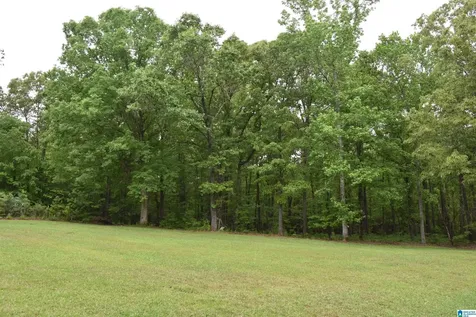 1915 Coosa County Road 19 Rockford AL 35136
