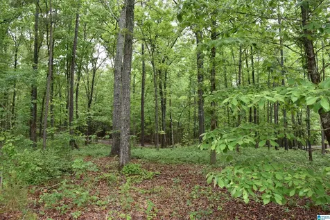 1915 Coosa County Road 19 Rockford AL 35136