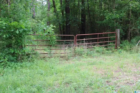 0 Wooten Road Alabaster AL 35007