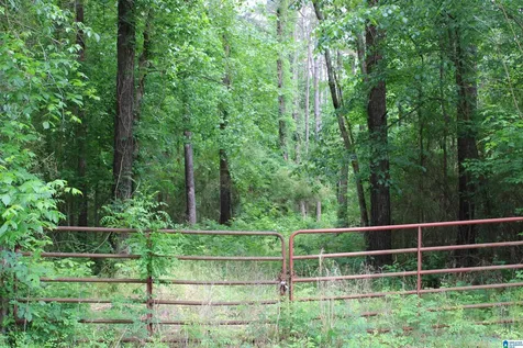 0 Wooten Road Alabaster AL 35007