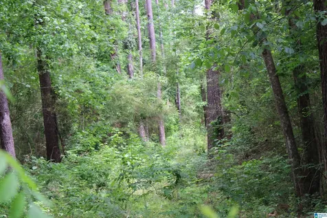 0 Wooten Road Alabaster AL 35007