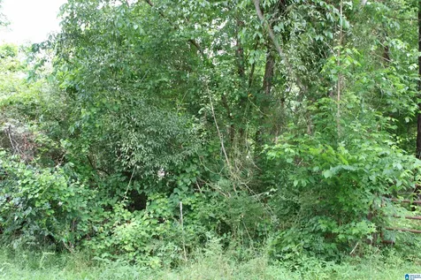 0 Wooten Road Alabaster AL 35007