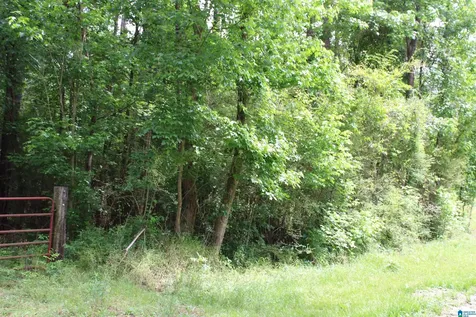 0 Wooten Road Alabaster AL 35007