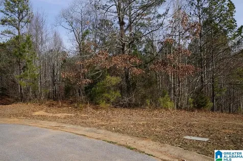 0 Pebble Point Sylacauga AL 35150