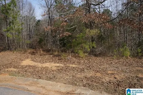 0 Pebble Point Sylacauga AL 35150