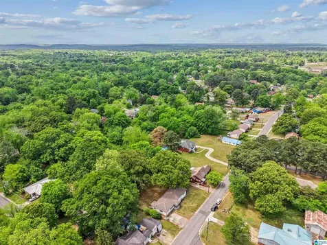 305 9th Street Pleasant Grove AL 35127