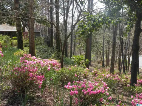 2653 Overhill Circle Sylacauga AL 35150