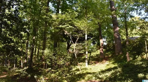 2653 Overhill Circle Sylacauga AL 35150