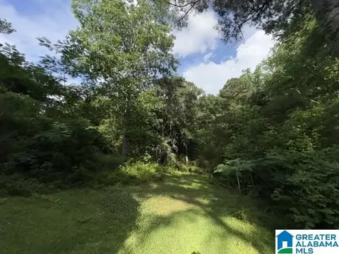 1545 SE 3rd Street Graysville AL 35073