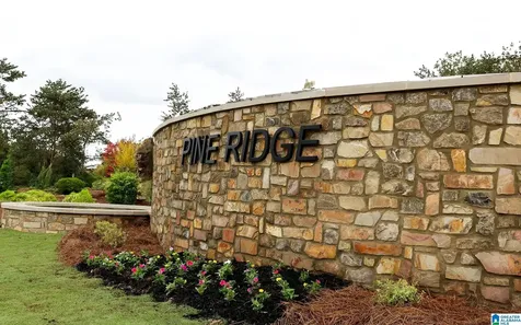 315 Pine Ridge Drive Odenville AL 35120