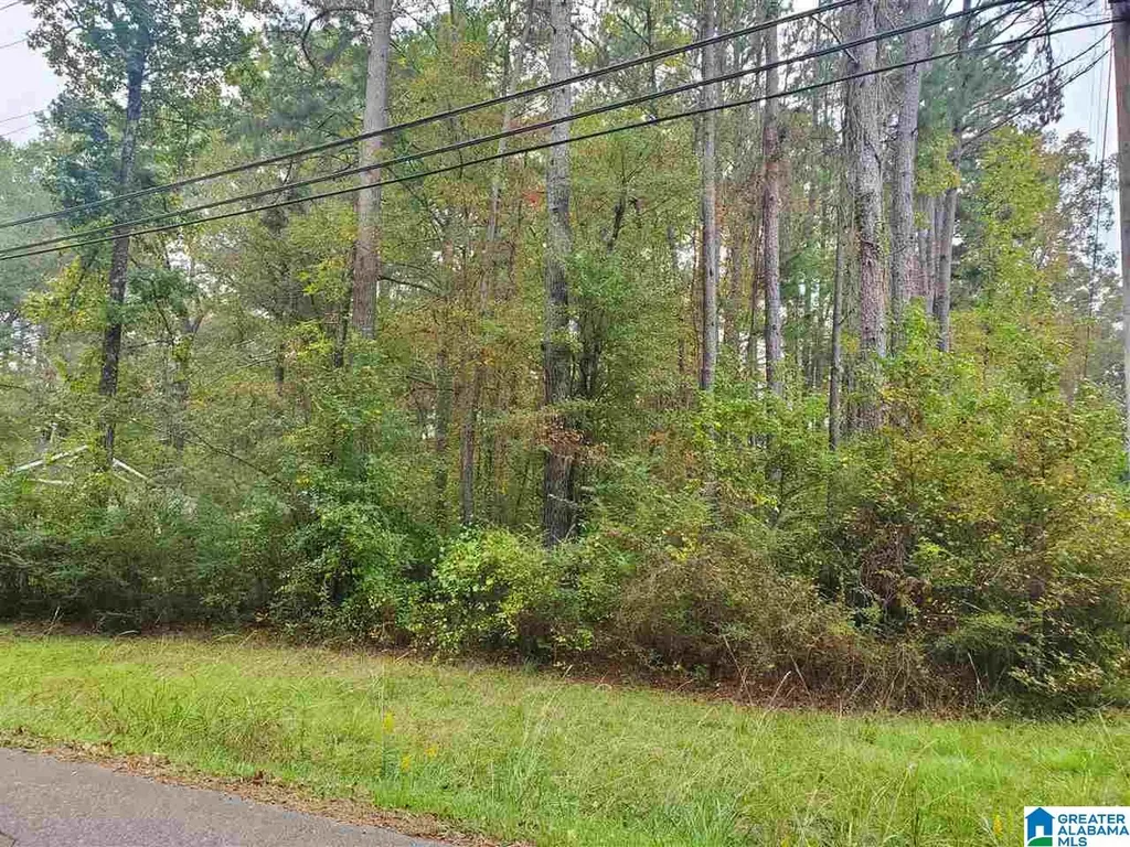 3784 Hilltop Road Bessemer AL 35022