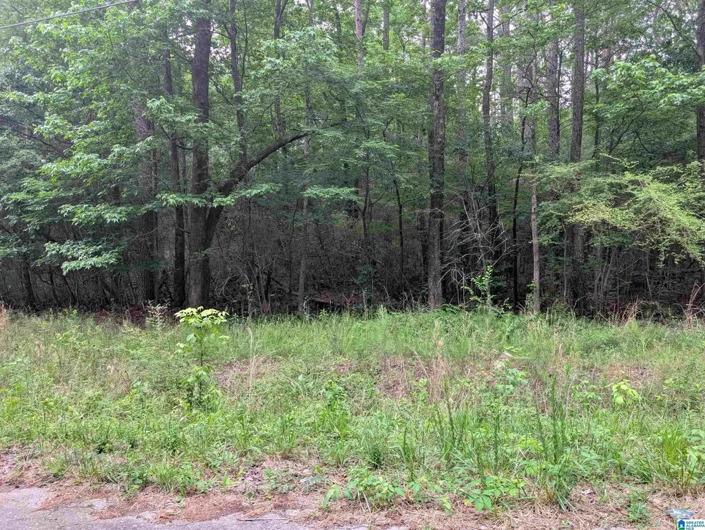 2920 Streeter Drive Bessemer AL 35023