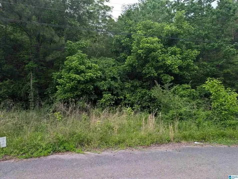 2920 Streeter Drive Bessemer AL 35023
