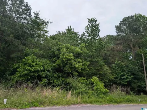 2920 Streeter Drive Bessemer AL 35023