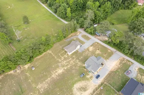 89 County Road 1724 Holly Pond AL 35083