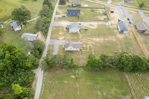 89 County Road 1724 Holly Pond AL 35083