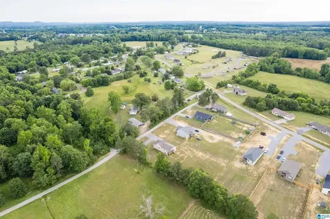 89 County Road 1724 Holly Pond AL 35083