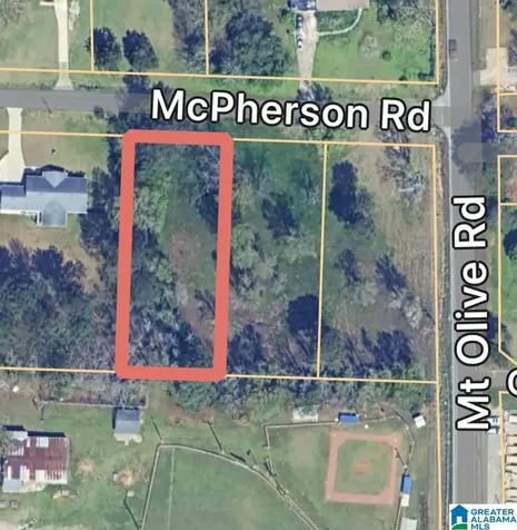 1220 Mcpherson Road Mount Olive AL 35117