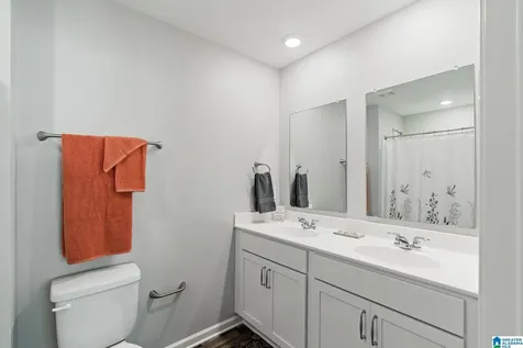 1755 Dixon Circle Mount Olive AL 35117