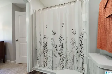 1755 Dixon Circle Mount Olive AL 35117