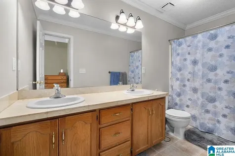 5950 Swann Road Mount Olive AL 35117