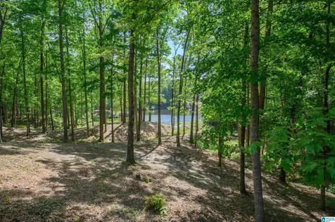 3 Cherry Hills Birmingham AL 35242