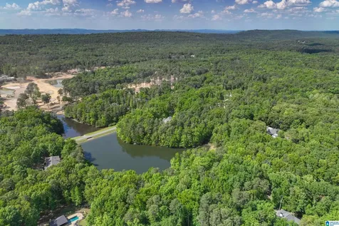 3 Cherry Hills Birmingham AL 35242