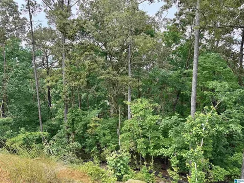 150 Broken Arrow Lane Sylacauga AL 35151