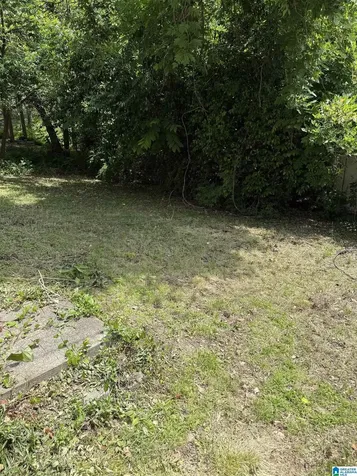 3983 8TH Court S Birmingham AL 35222