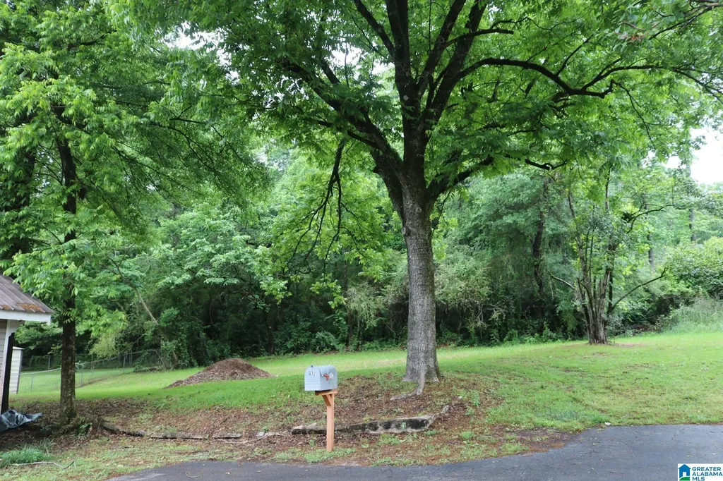 1325 Avenue V Birmingham AL 35218