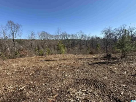 0 County Road 940 Cullman AL 35057