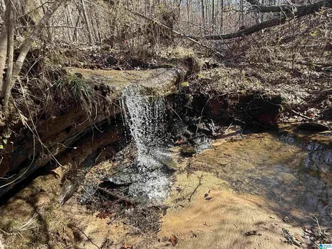 0 County Road 940 Cullman AL 35057