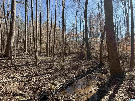 0 County Road 940 Cullman AL 35057