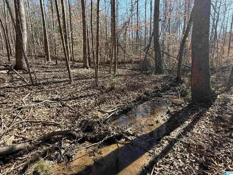 0 County Road 940 Cullman AL 35057