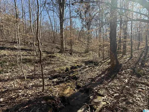0 County Road 940 Cullman AL 35057