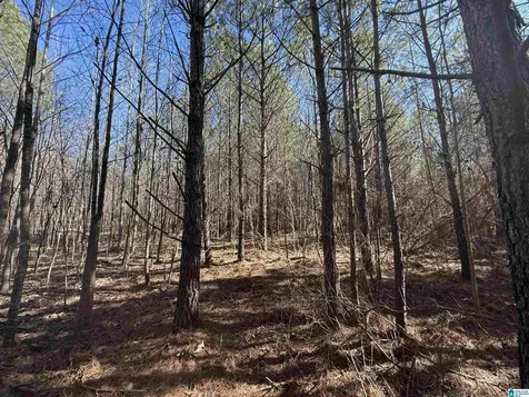 0 County Road 940 Cullman AL 35057