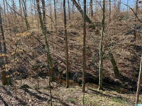 0 County Road 940 Cullman AL 35057