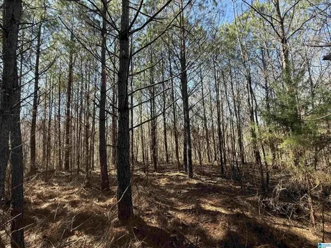0 County Road 940 Cullman AL 35057