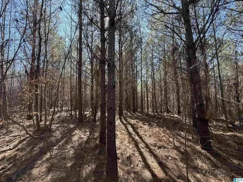 0 County Road 940 Cullman AL 35057