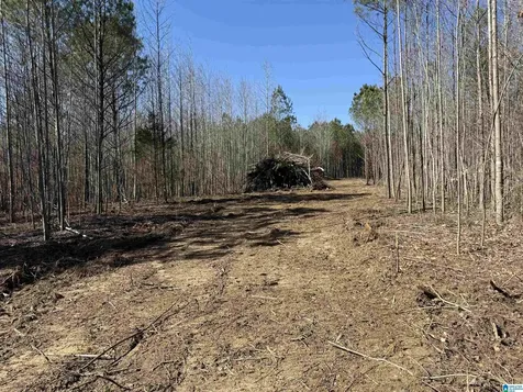 0 County Road 940 Cullman AL 35057