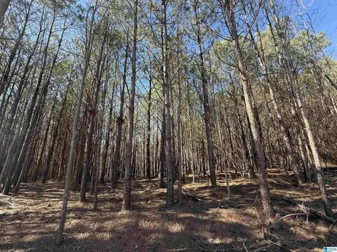 0 County Road 940 Cullman AL 35057