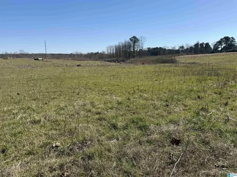 0 County Road 940 Cullman AL 35057