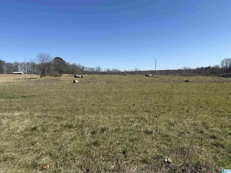 0 County Road 940 Cullman AL 35057